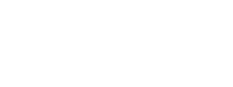 max agency my digital company